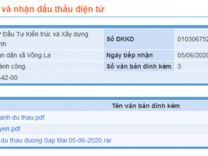 Kết quả nộp E-HSDT